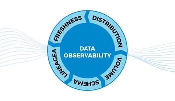 data observability features