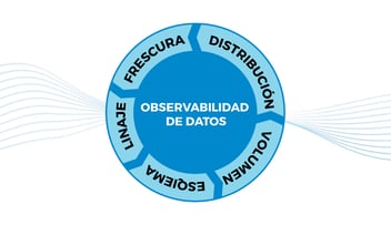 observabilidad de datos características