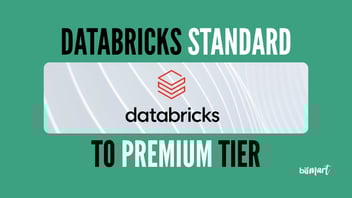 Databricks Migration from Standard Tier to Premium Tier
