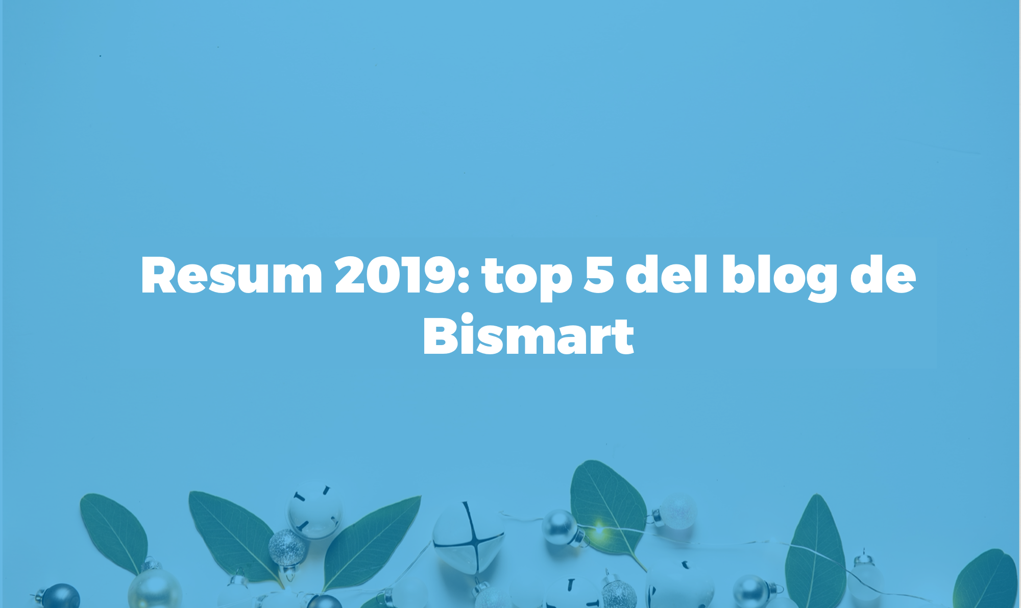 Resum 2019 blog de bismart
