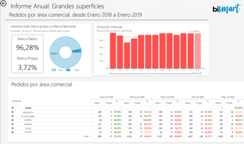 Bismart Informes interactivos con Microsoft Reporting Services.
