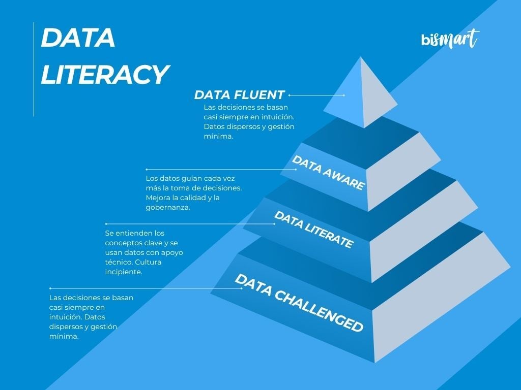 Data Literacy: How to Promote Data Literacy in Your Company
