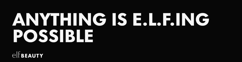 elf anything is elfing possible