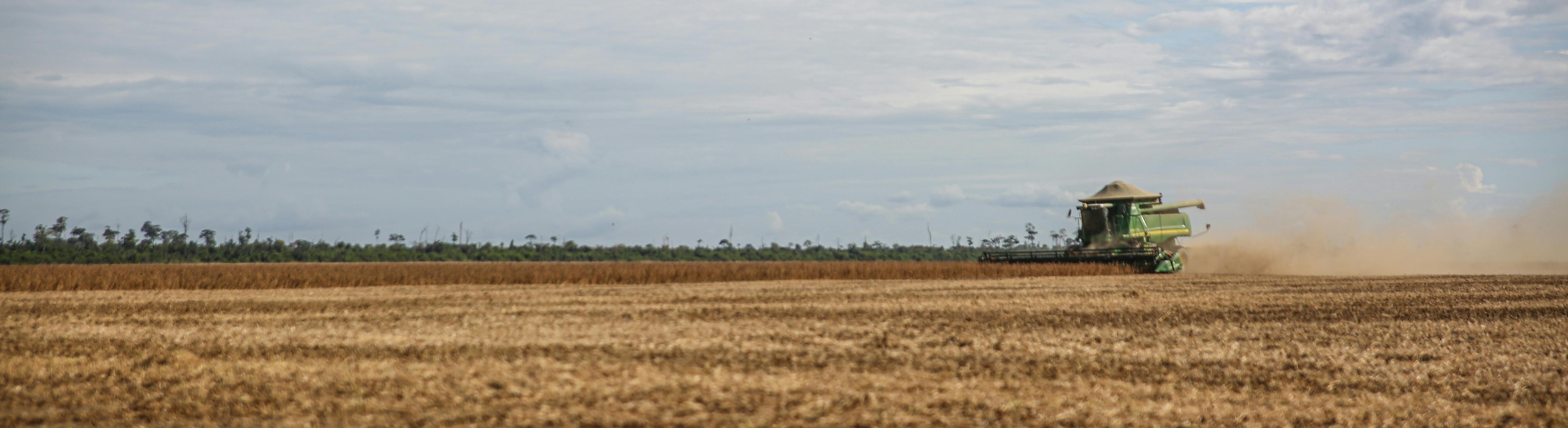 Uso de drones e inteligencia artificial para analizar cultivos y optimizar el riego.