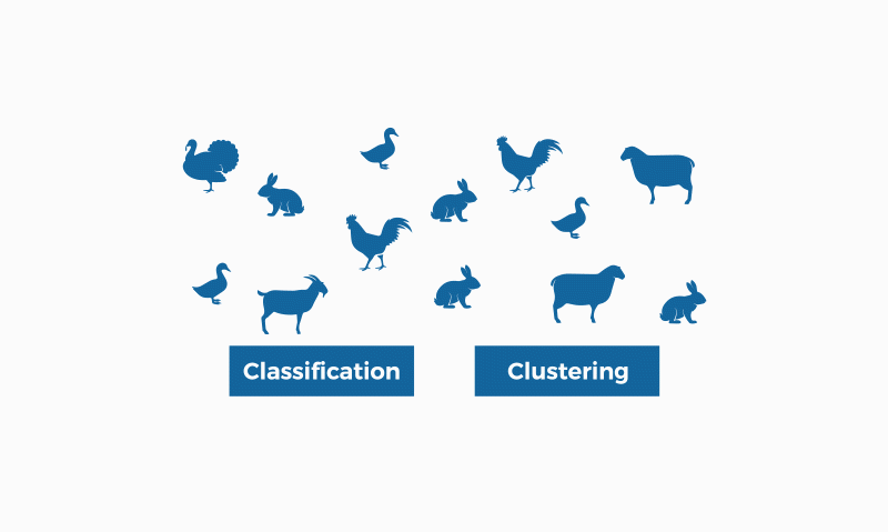 Classificació vs. clusterització: una explicació pràctica