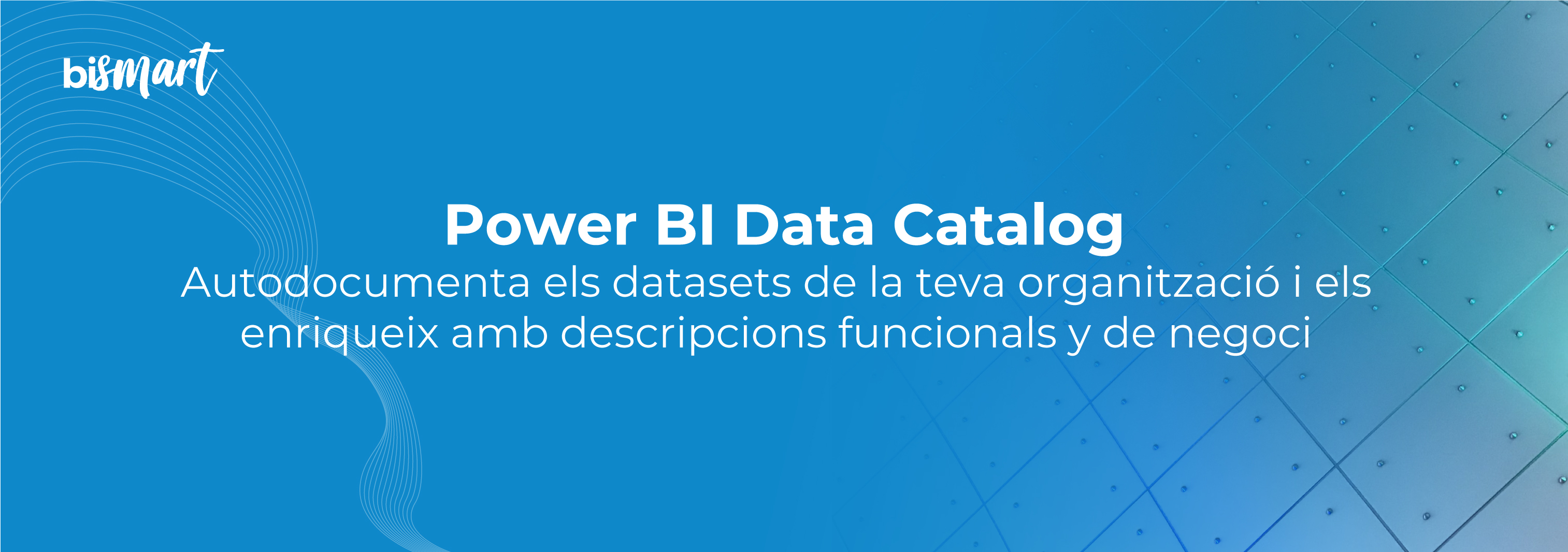 PowerBI-Data-Catalog-banner-CA